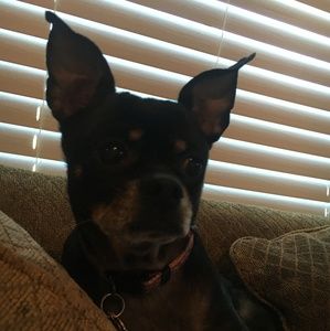 Meet your Posher, Jillian